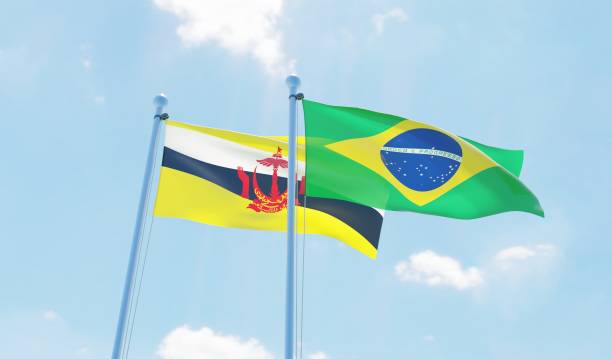 istock Brazil and Brunei, two flags waving against blue sky 1142190470