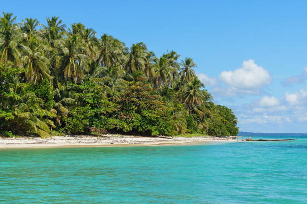 istock Tropical island sea shore Panama Central America 1142192005