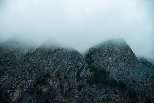 Ghostly giant rocks with trees in thick fog. Mysterious huge mountain in mist. Early morning in mountains. Impenetrable fog. Dark atmospheric eerie landscape. Tranquil mystic atmosphere of wilderness.