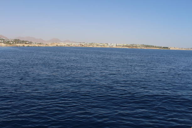 istock Coast of the Red Sea 1142197133