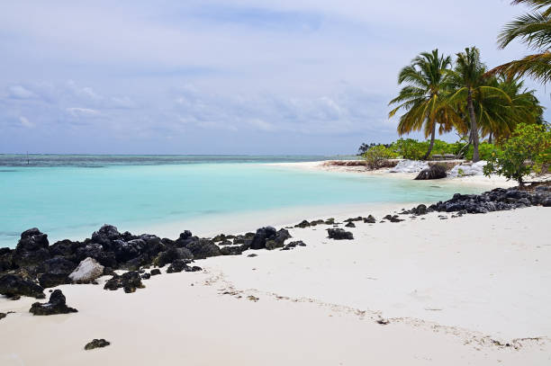 istock White sandy beach with volcanic rocks in Maldives 1142197432