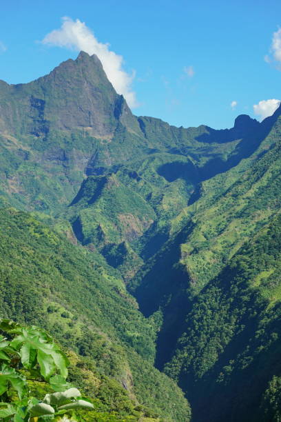 istock Tahiti mountain mount Orohena French Polynesia 1142198018