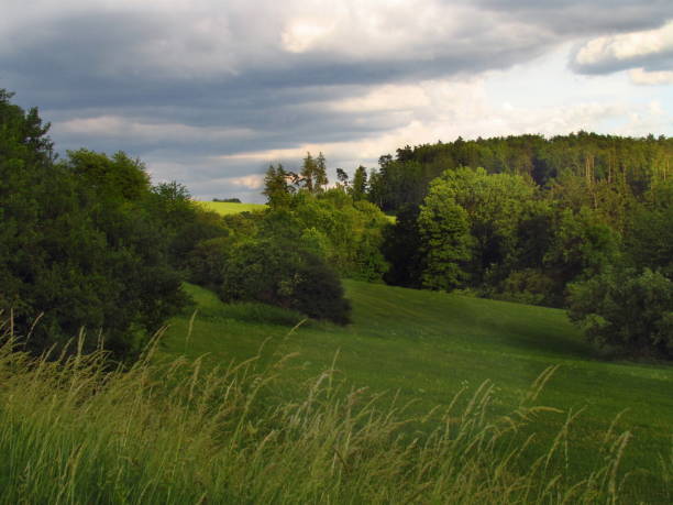istock Spring landscape before the storm, dramatic clouds in the sky, gloomy light, 1142199024