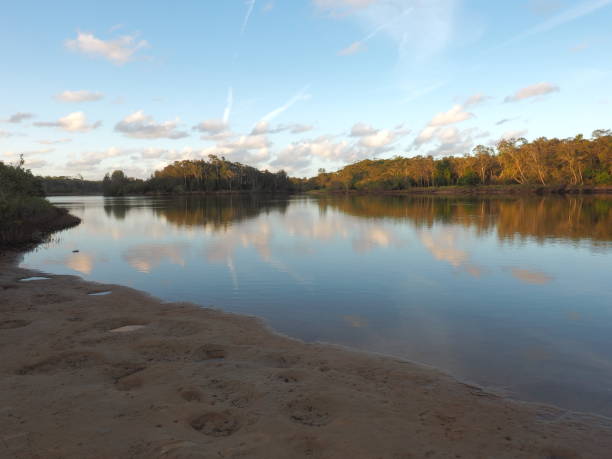 istock Scenic river reflections of trees on the water. Estuary scene. 1142201961