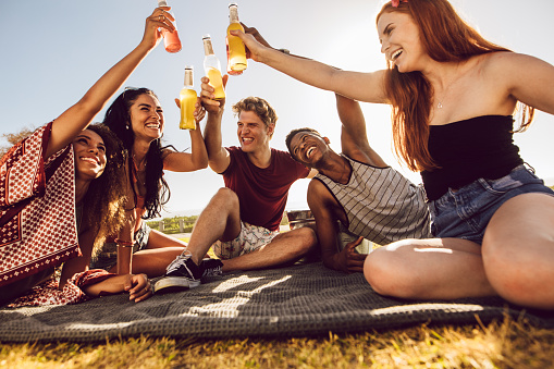 Multi-ethnic friends sitting outdoors on a plaid and toasting beer. Young men and women having a party outdoors on a summer day.
