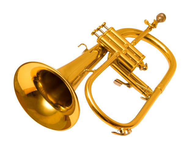 flugelhorn isoliert auf weiß. trompete. - brass instrument trumpet classical music flugelhorn stock-fotos und bilder