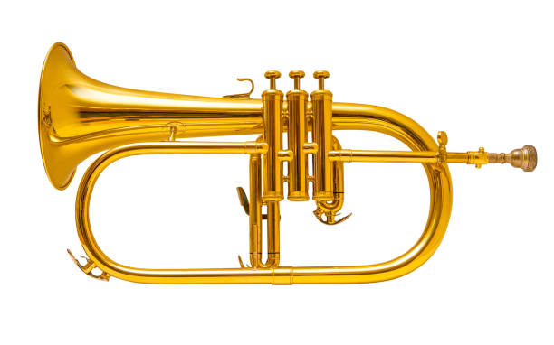 flugelhorn isolated on white. trumpet. - trumpet musical instrument wind instrument flugelhorn imagens e fotografias de stock