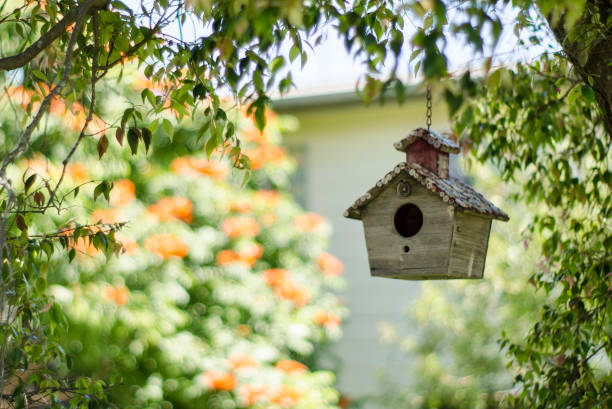 a hanging birdhouse - birdhouse imagens e fotografias de stock