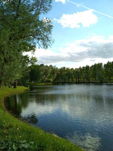 istock Blue river, juicy  grass, green trees and light blue sky 1142204167