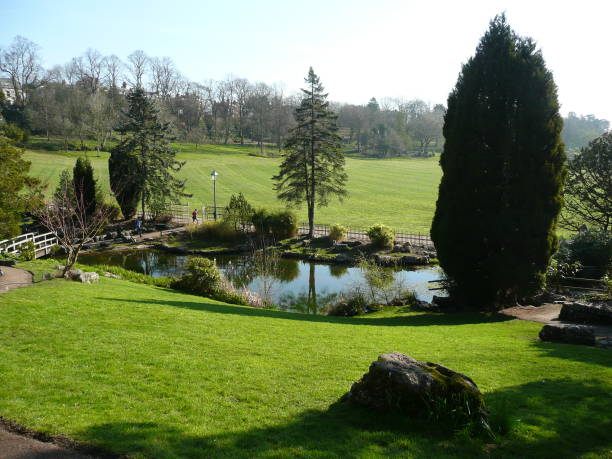 istock Japanese garden in Avenham park, Preston 1142207399