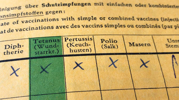German international certificate of vaccination German international certificate of vaccination with complete records for diphtheria, tetanus, pertussis, polio and measles polio photos stock pictures, royalty-free photos & images