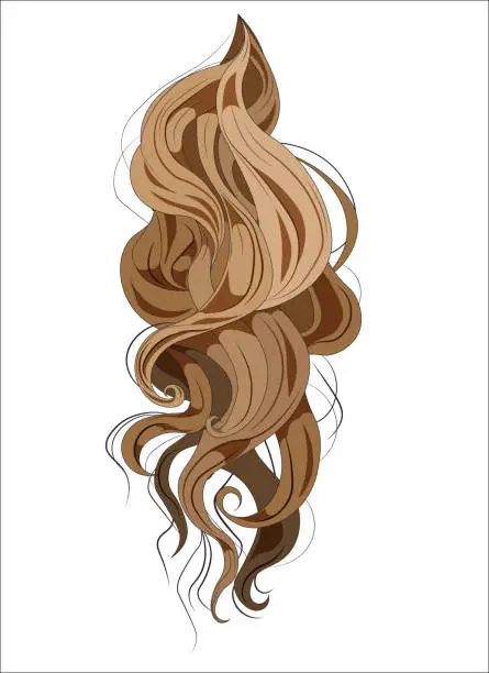 Vector illustration of Beautiful hair