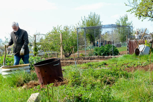 istock Man in community garden 1142213358