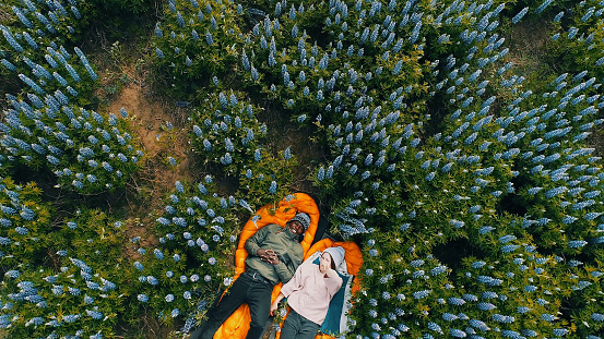 Icelandic summer with blooming lupines. Multi ethnic couple hugging and enjoying nature