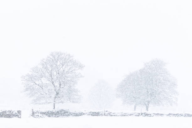 istock winter on the farm 1142214652