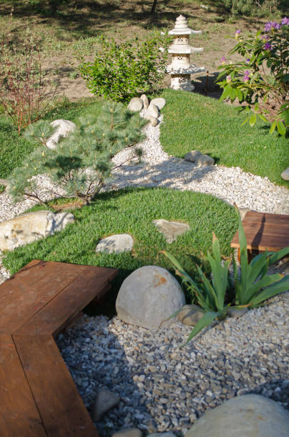 Small oriental garden for relaxing. Japanese stilb with pebble paths Small oriental garden for relaxing. Japanese stilb with pebble paths. oriental spruce stock pictures, royalty-free photos & images