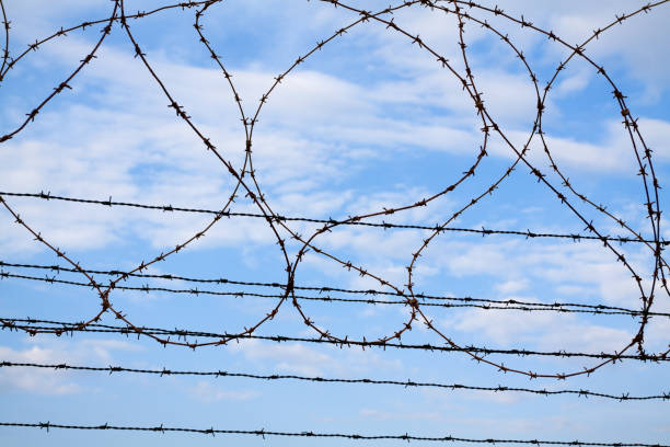 istock Details of barbed wire 1142219159