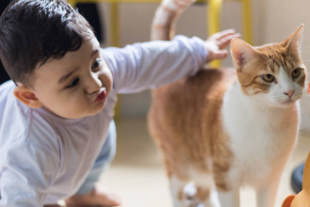 istock Baby Boy stroking his cat 1142219448