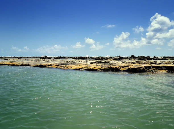 Northeast Brazil beach. Reef at Barra do Sao Miguel, Alagoas, Brazil