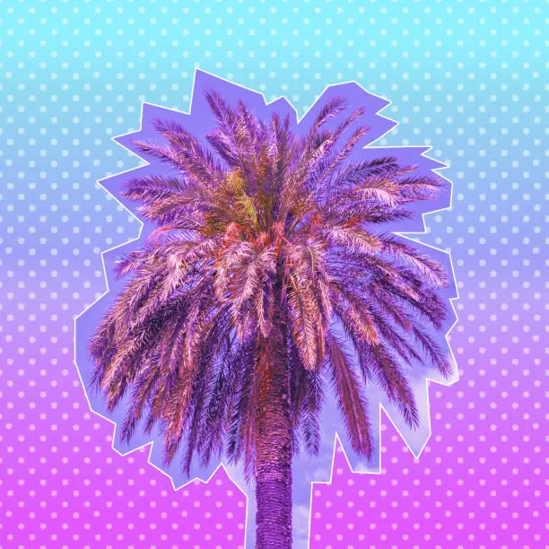 Photo of palm tree on gradient background with dots.