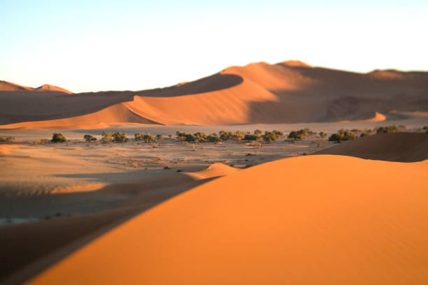 istock Red sand dunes of Sossusvlei, Namibia. 1142228300