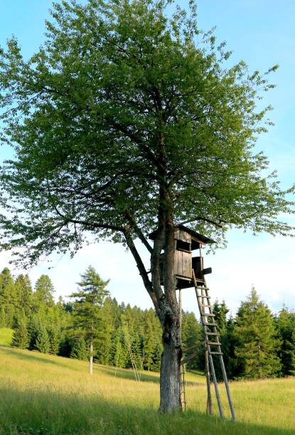 hunting lodge for hunters in mountain