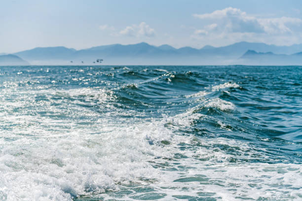 istock A deep blue sea with island in distance with medium water wave ripple 1142233253