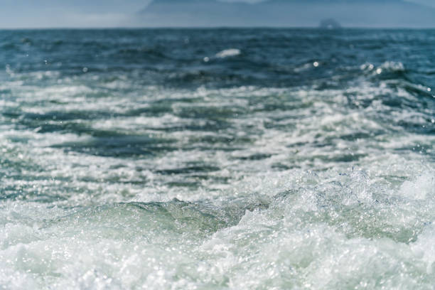 istock A deep blue sea with island in distance with medium water wave ripple 1142233384