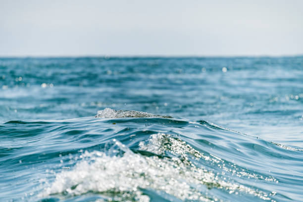 istock Blue Ocean with waves and clear blue sky Blue water surface 1142234012