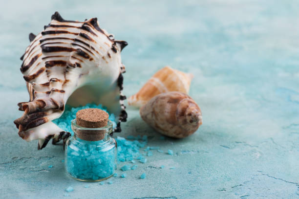 istock Spa products with sea shells and salt 1142234403