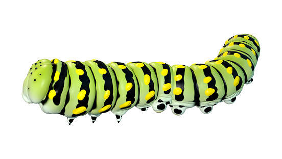 3D rendering of a green worm caterpiller isolated on white background