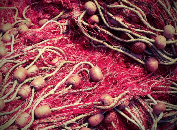 istock Floats and fishing nets with old toned effect 1142237802