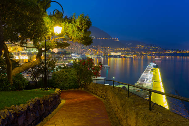Saint Martin Gardens in Monaco at night Beautiful alley in Saint Martin Gardens in Monaco at night st. martins stock pictures, royalty-free photos & images