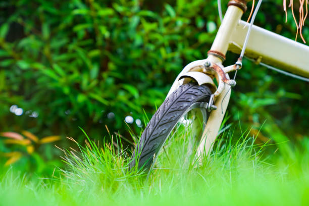 istock vintage bicycle parked decorating garden 1142238757