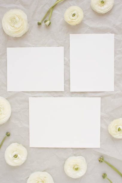 istock Stationed photo mockup. 1142242509