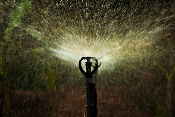 Closeup of water sprinkler in the garden
