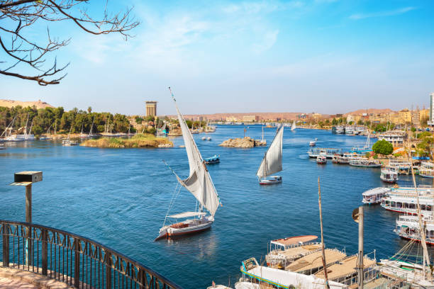istock Aswan and boats 1142245150