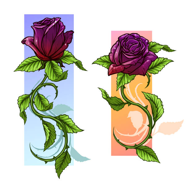 ilustrações de stock, clip art, desenhos animados e ícones de graphic detailed cartoon roses with stem set - thorn spiked flower head blossom