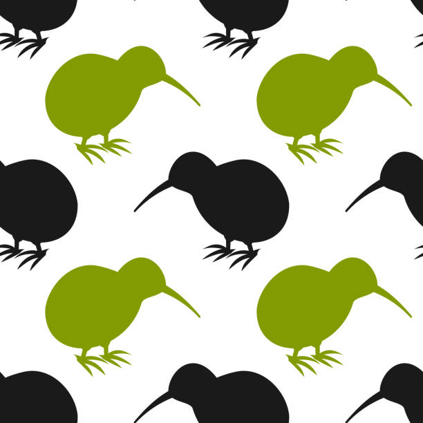 Kiwi bird seamless pattern. Kiwi bird seamless pattern. Vector illustration kiwi bird stock illustrations
