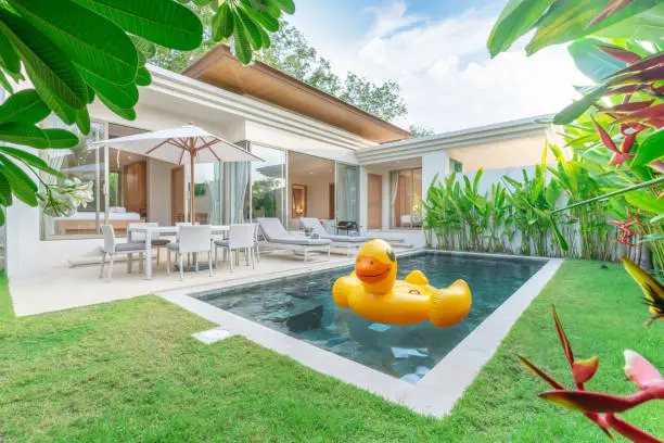 home or house Exterior design showing tropical pool villa with greenery garden, sun bed and floating duck