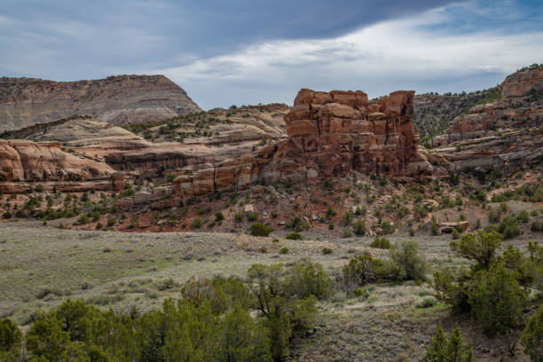 istock Beautiful geological features Colorado National Monument 1142253919
