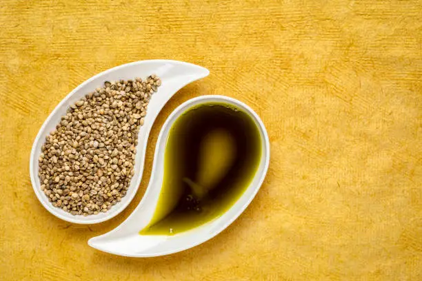 dry hemp seeds and oil in small teardrop bowls against yellow textured paper