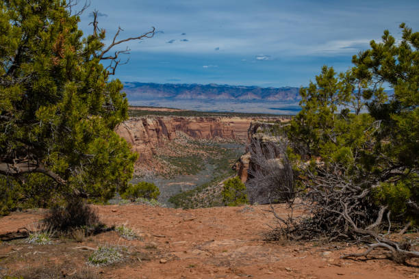 istock Beautiful geological features Colorado National Monument 1142259294