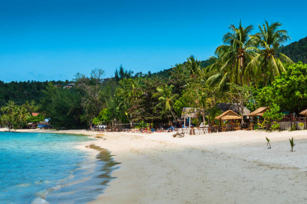 istock Landscape Sunny day, blue sky and beach, palms and sea 1142262205