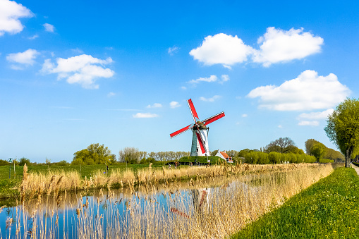 Windmill on the banks of the Damme Canal near Bruges, West Flanders, Belgium