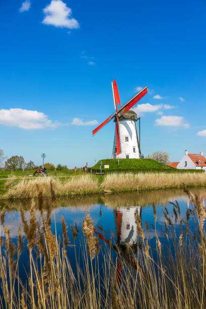 西フランダースの風車、ベルギー。 - belgium bruges windmill europe ストックフォトと画像