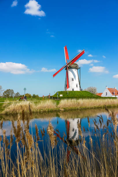 wiatrak w zachodniej flandrii, belgia. - belgium bruges windmill europe zdjęcia i obrazy z banku zdjęć
