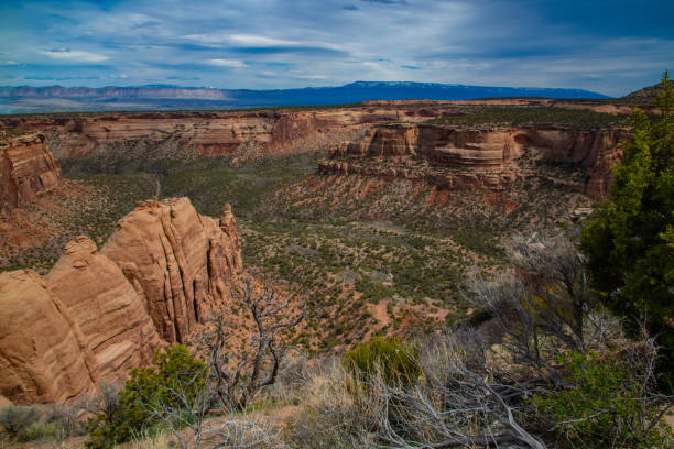 istock Beautiful geological features Colorado National Monument 1142262976