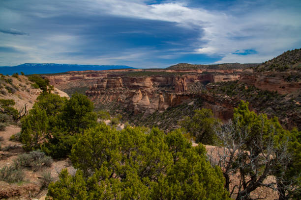 istock Beautiful geological features Colorado National Monument 1142264301