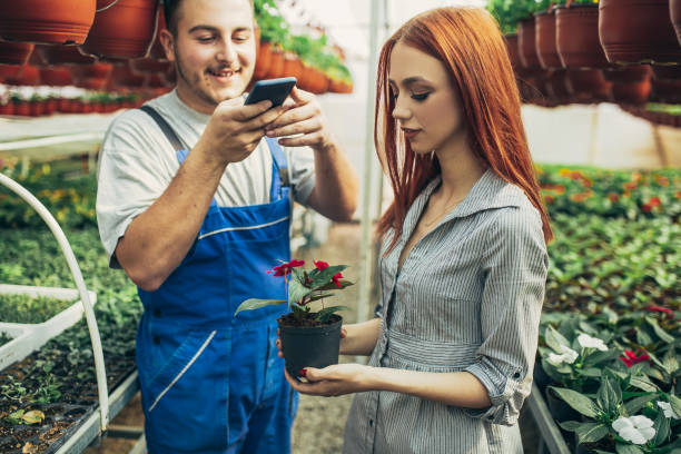 istock Gardners working in the Garden Center 1142264779